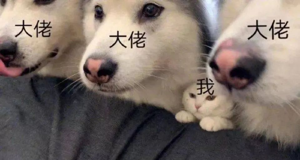 黄海操刀，麦当劳海报“出圈”了！