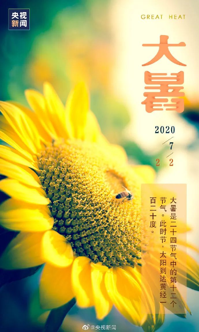 你那里多少度？消暑良方何处有，大暑海报瞅一瞅
