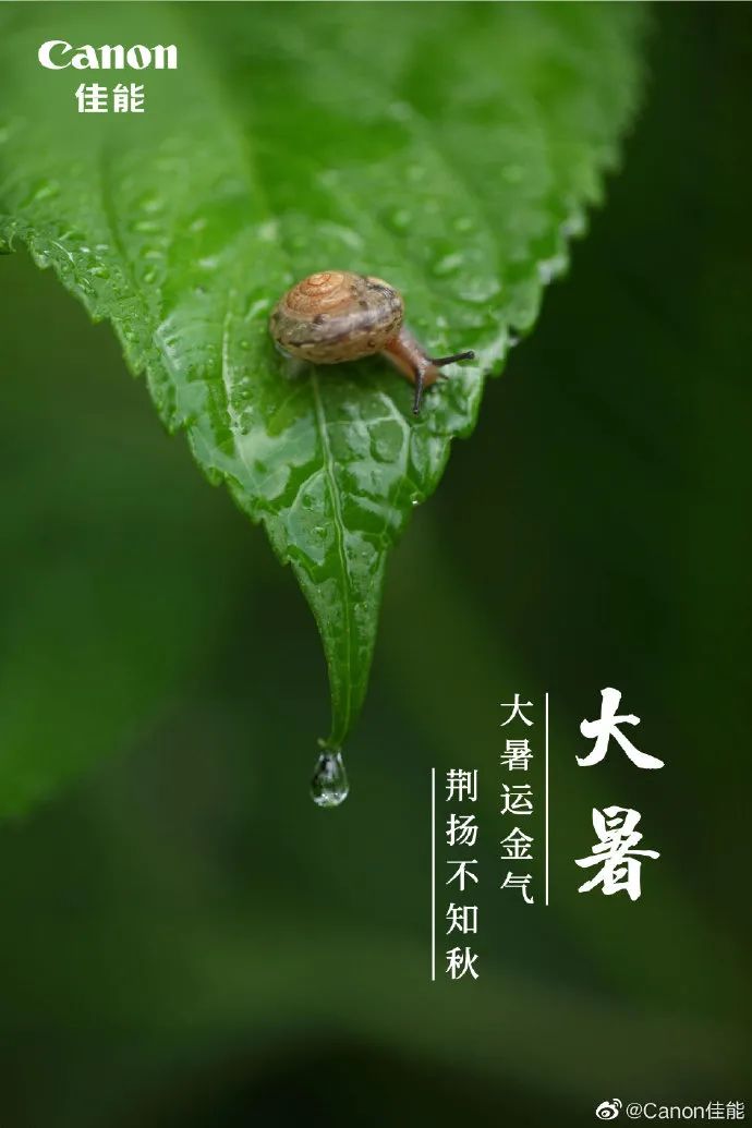 你那里多少度？消暑良方何处有，大暑海报瞅一瞅