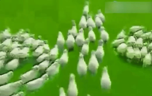 为什么汽水广告总是度数不低的样子