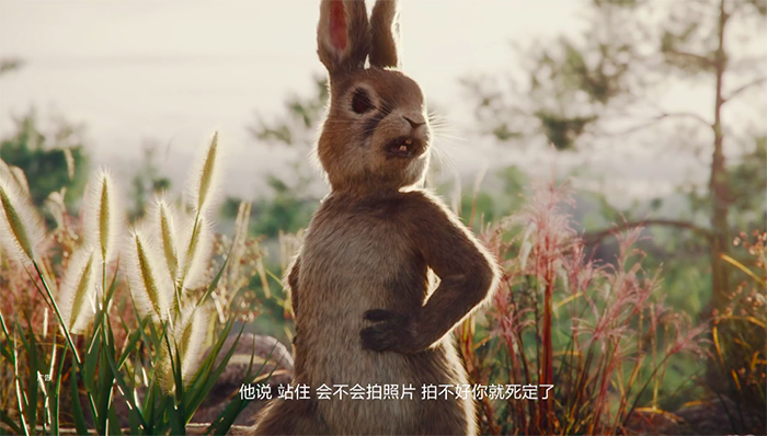 华为影业再出作品，这次竟请兔子当主角？