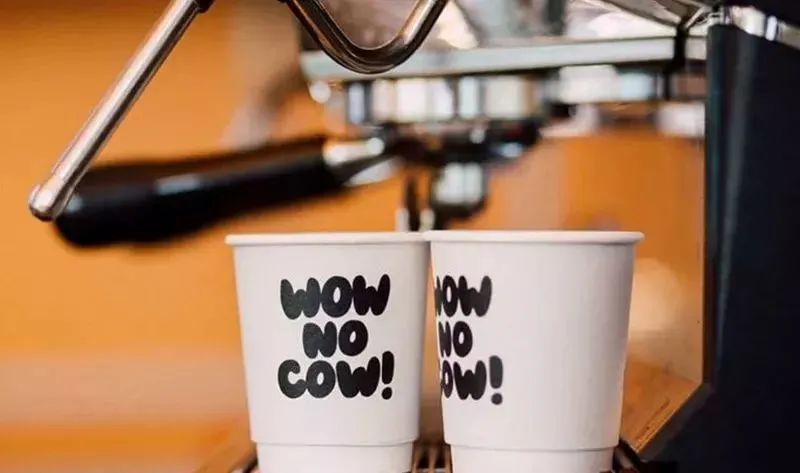 一杯咖啡让人甘愿排队4小时，一盒50元的植物奶全球爆卖，这样的品牌赢在哪？