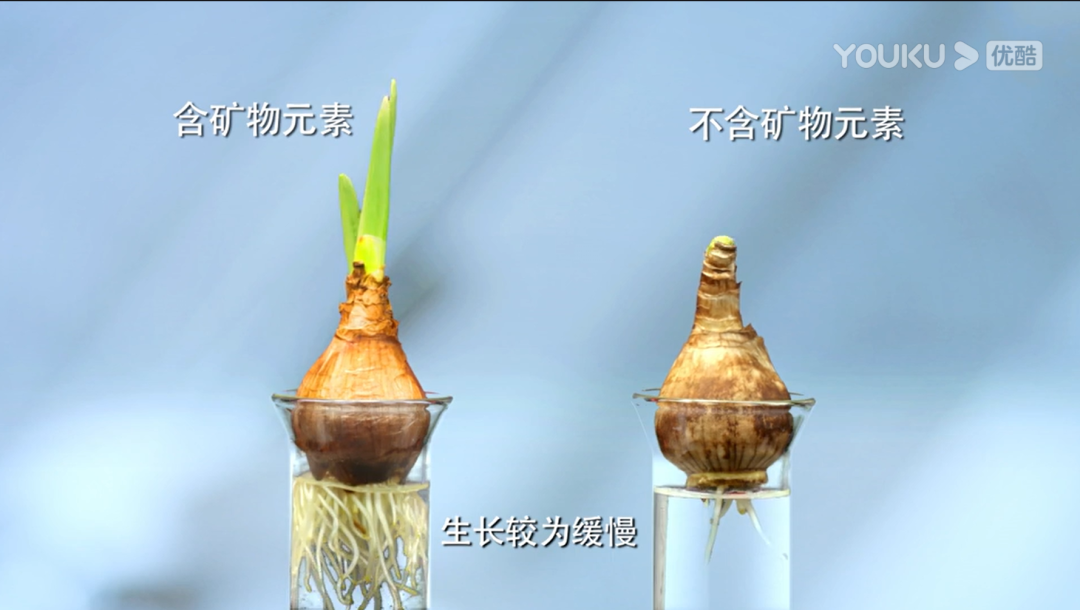 如何做出大创意？帮你灵感爆棚的12大广告妙招