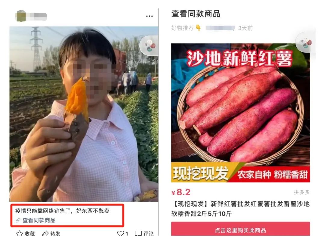 4个方向，10个案例，视频号变现指南。