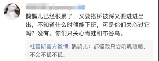 七夕营销战落幕，杜蕾斯成最大赢家！