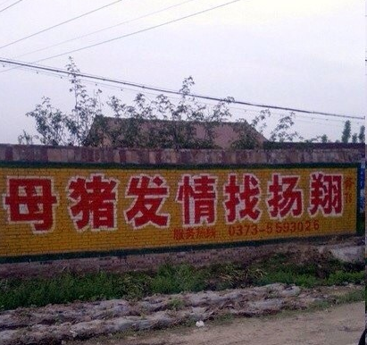 地推广告有三宝：人流，男科，包治好