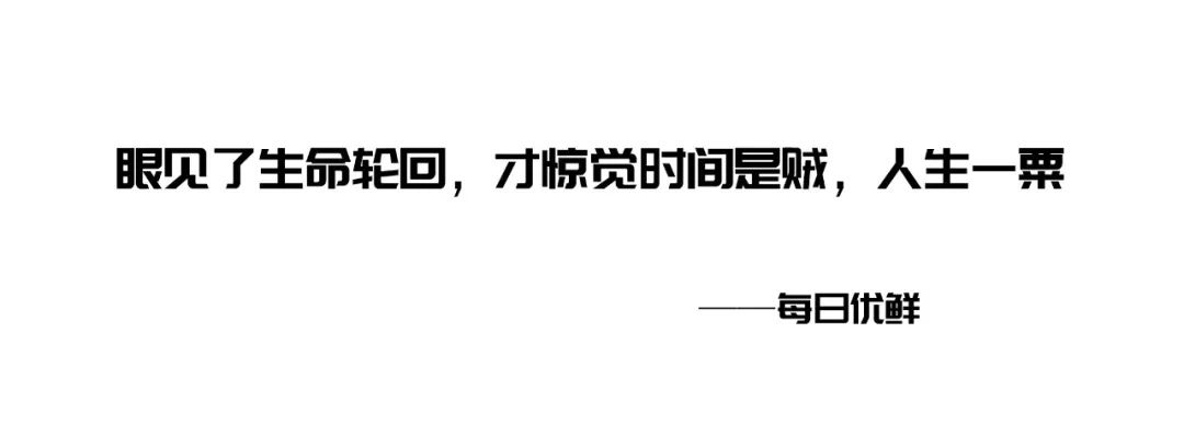 文案常用19种修辞手法