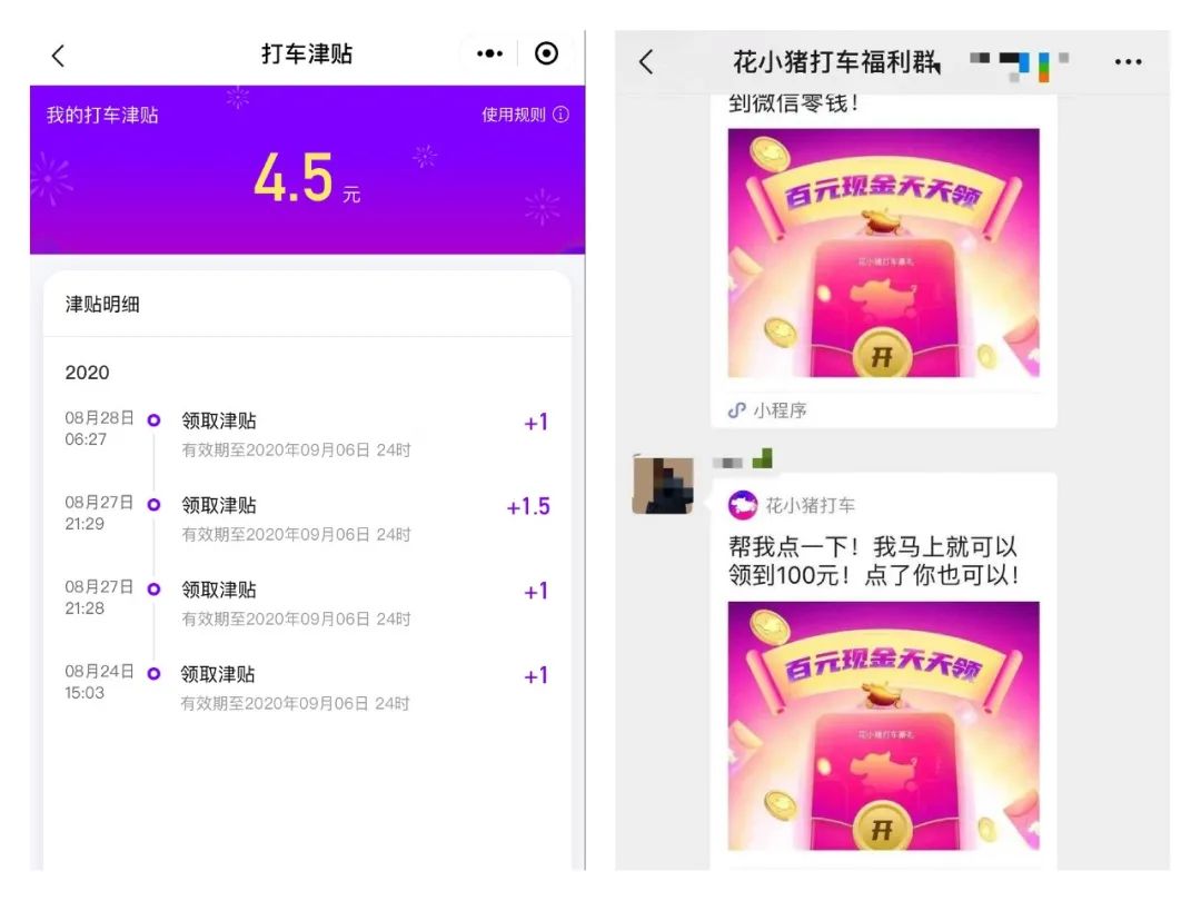花小猪如何一夜席卷100城？