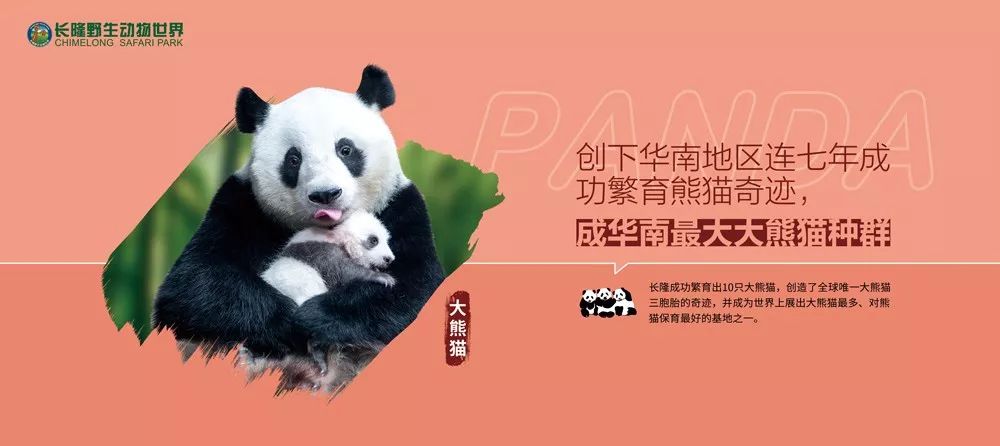 六个技巧，让你的设计看起来更丰富~
