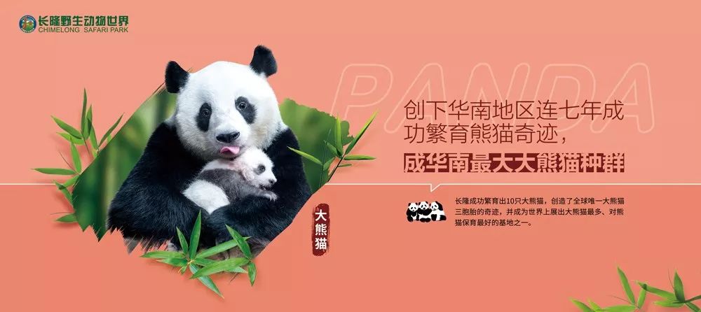六个技巧，让你的设计看起来更丰富~