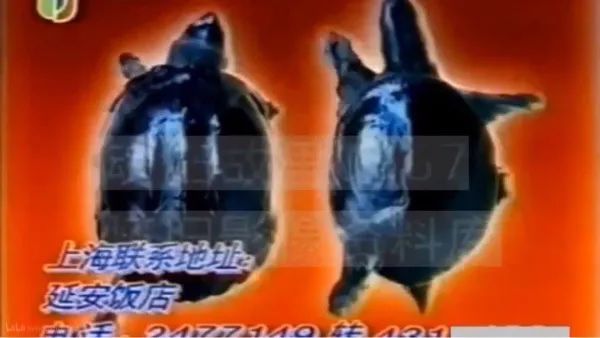 农夫山泉港股上市，一个被卖水耽误的广告公司