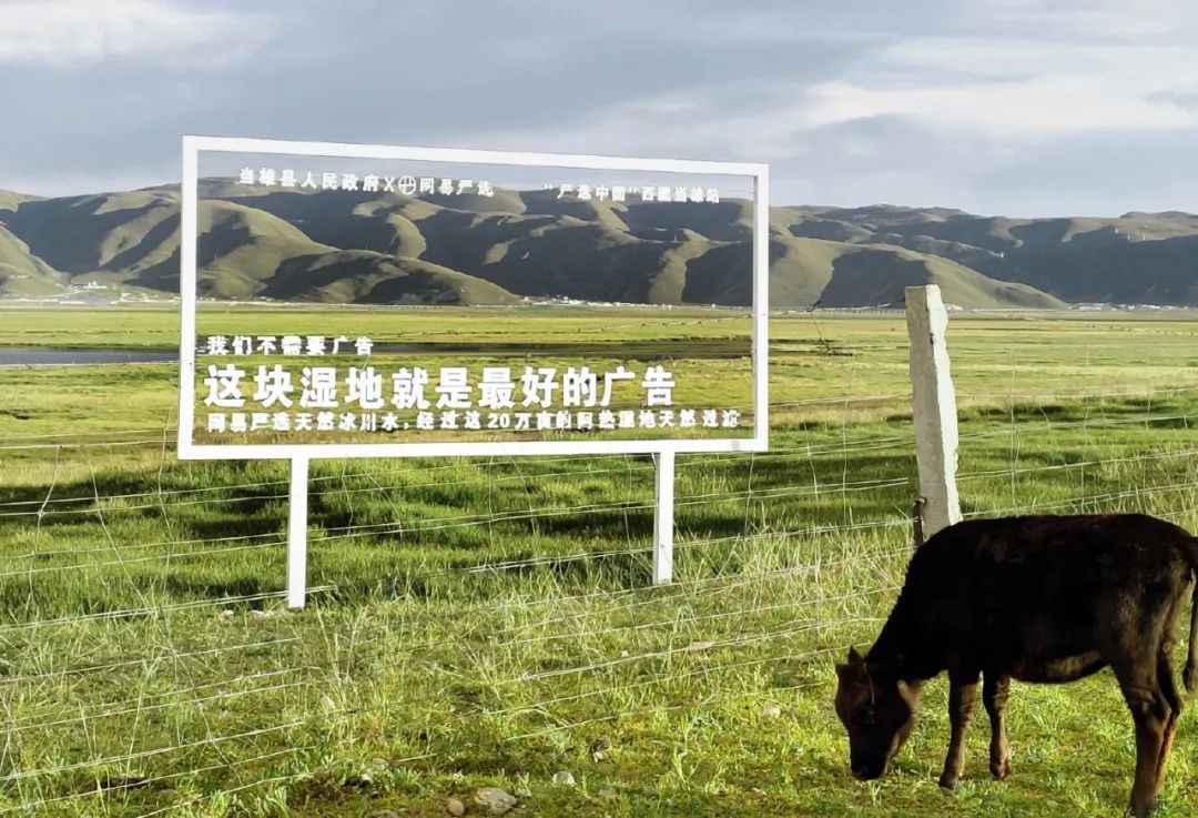 不需要广告？网易严选好大的口气