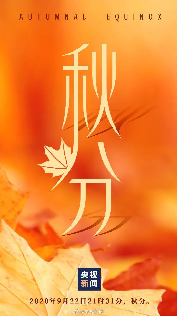 丹桂飘香秋分创意海报大鉴赏！