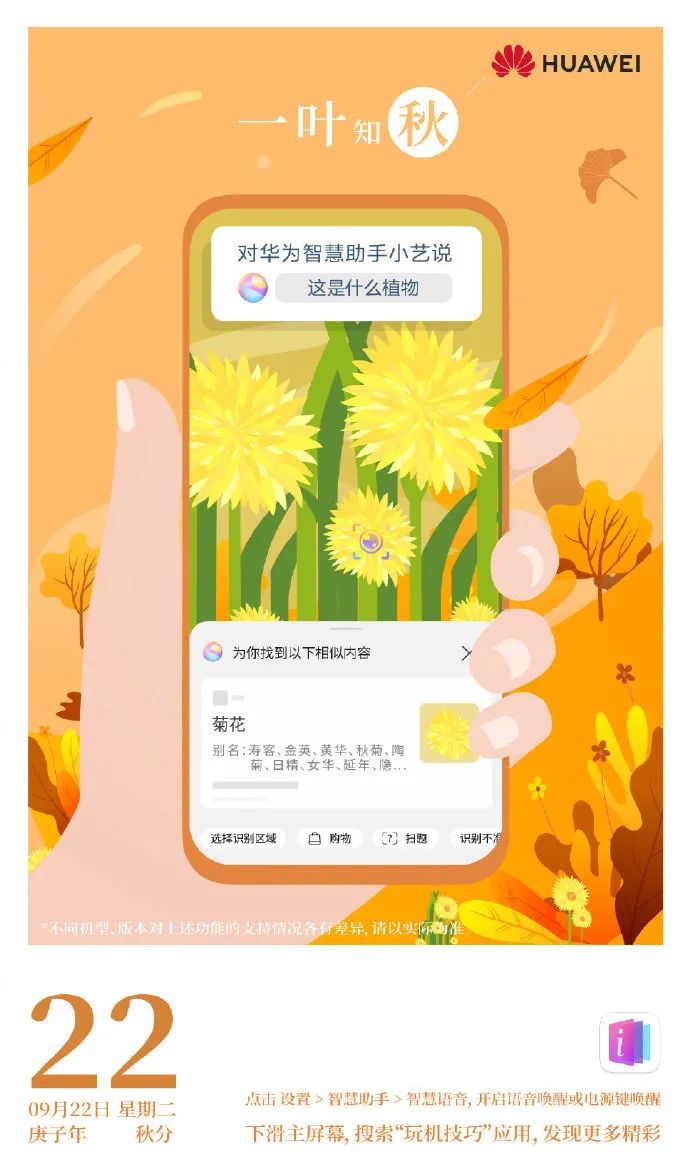 丹桂飘香秋分创意海报大鉴赏！