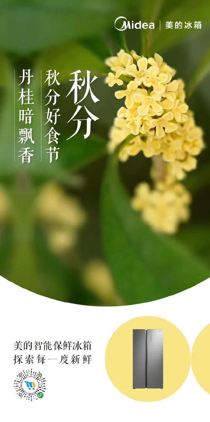 丹桂飘香秋分创意海报大鉴赏！