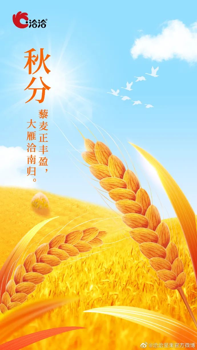 丹桂飘香秋分创意海报大鉴赏！