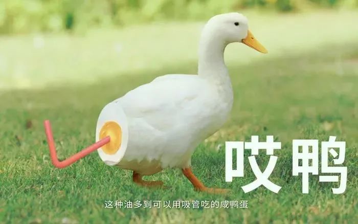 五芳斋
