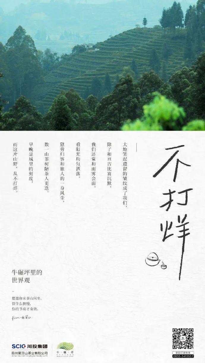 最近喜欢的十句文案！