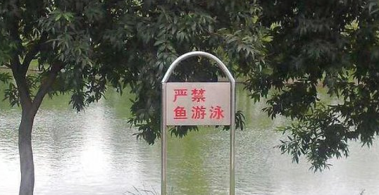 有错字的广告牌，才是真文案鬼才！