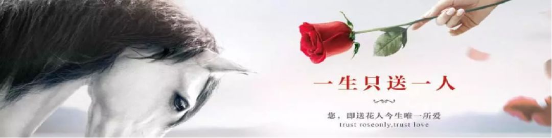 花30000000元，总结出3个高阶品牌营销方法论