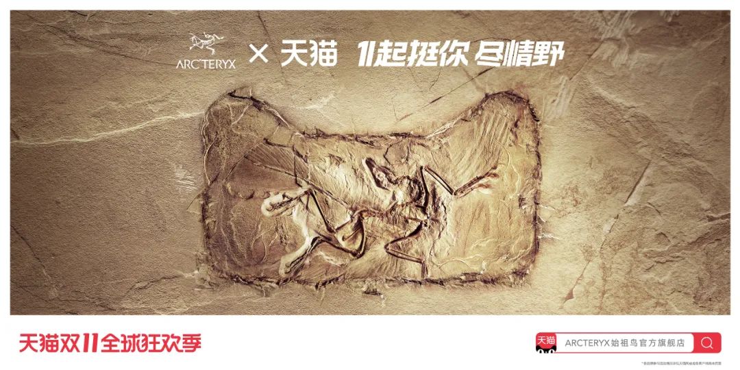 超详细2020双11天猫联名海报设计大盘点！