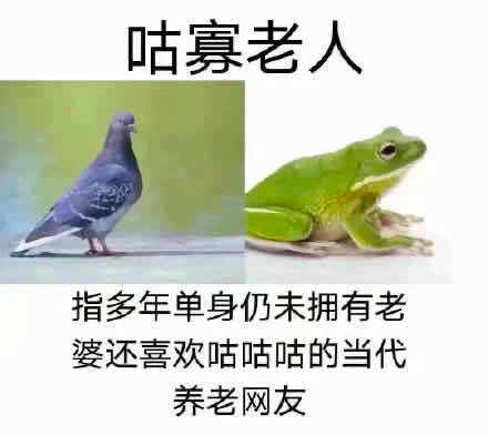 名媛体、秋奶体，给文案上了一课！