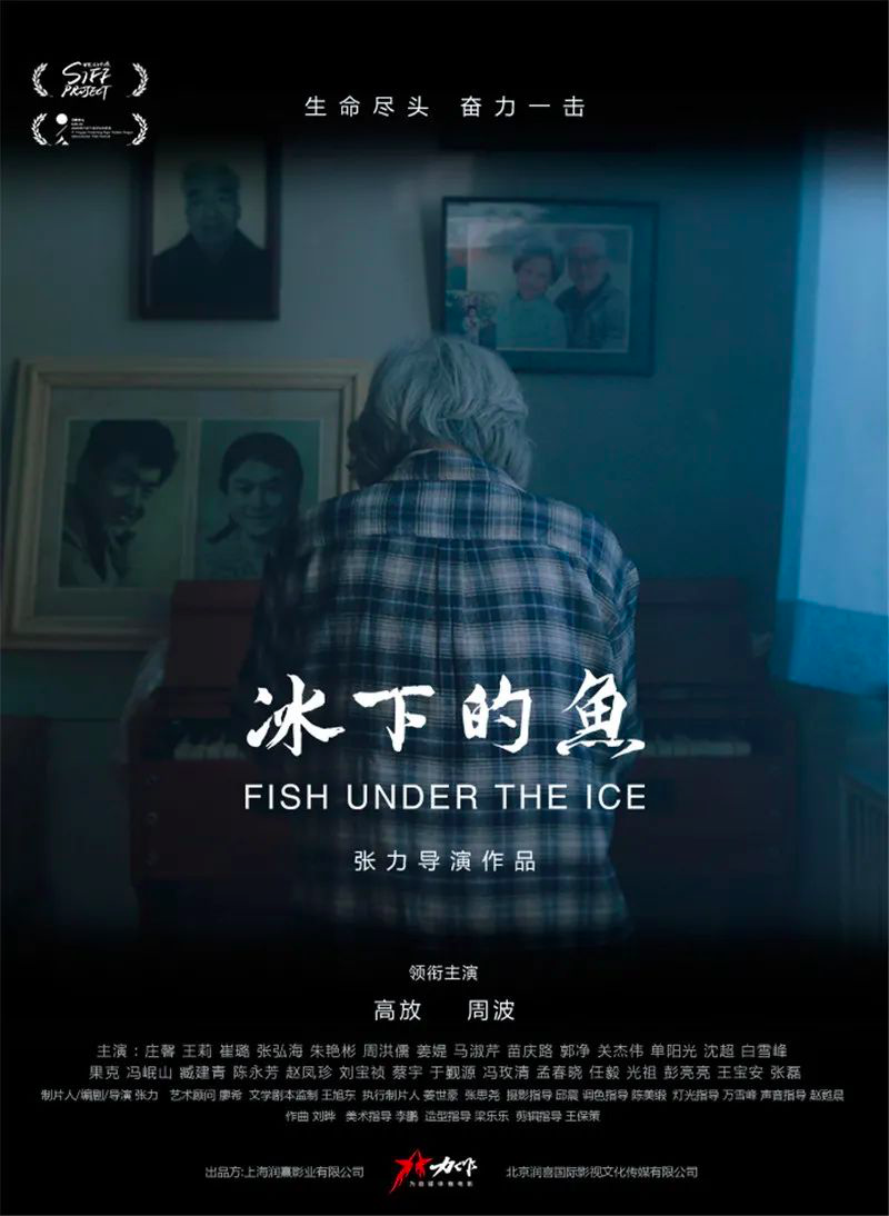 贾樟柯退出平遥影展，以后还会有这么好看的海报吗？