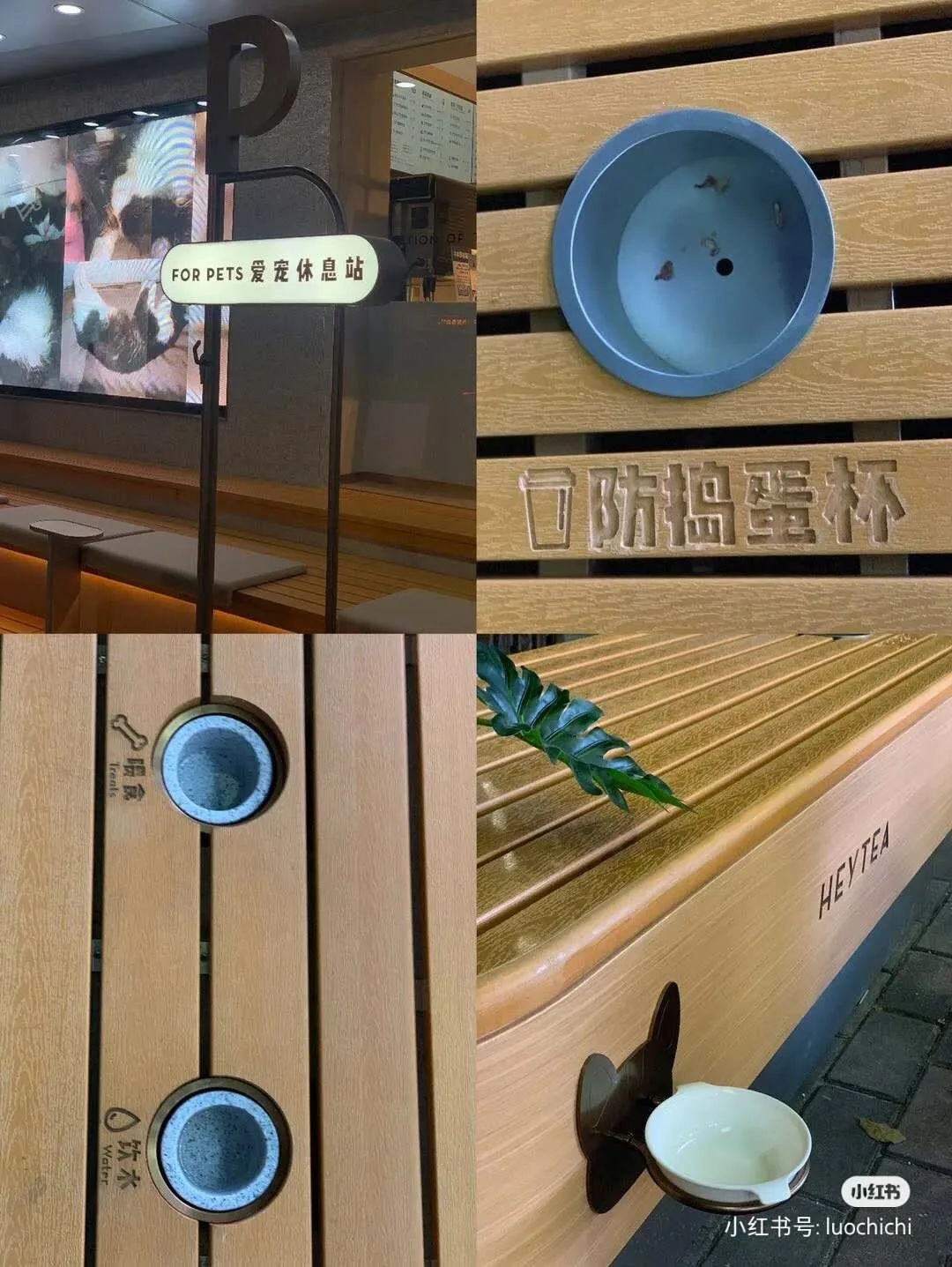 喜茶，开宠物主题店了！