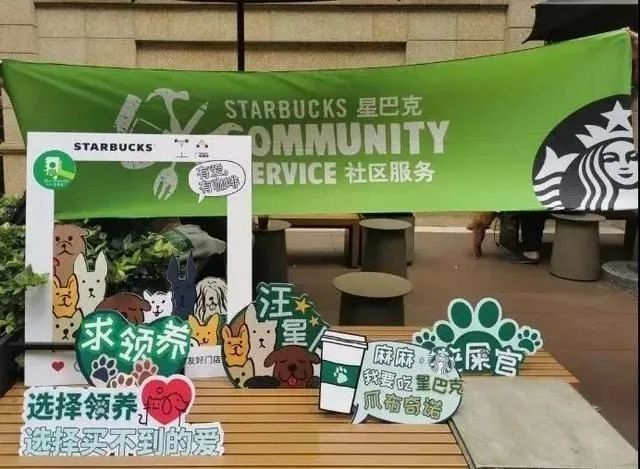 喜茶，开宠物主题店了！
