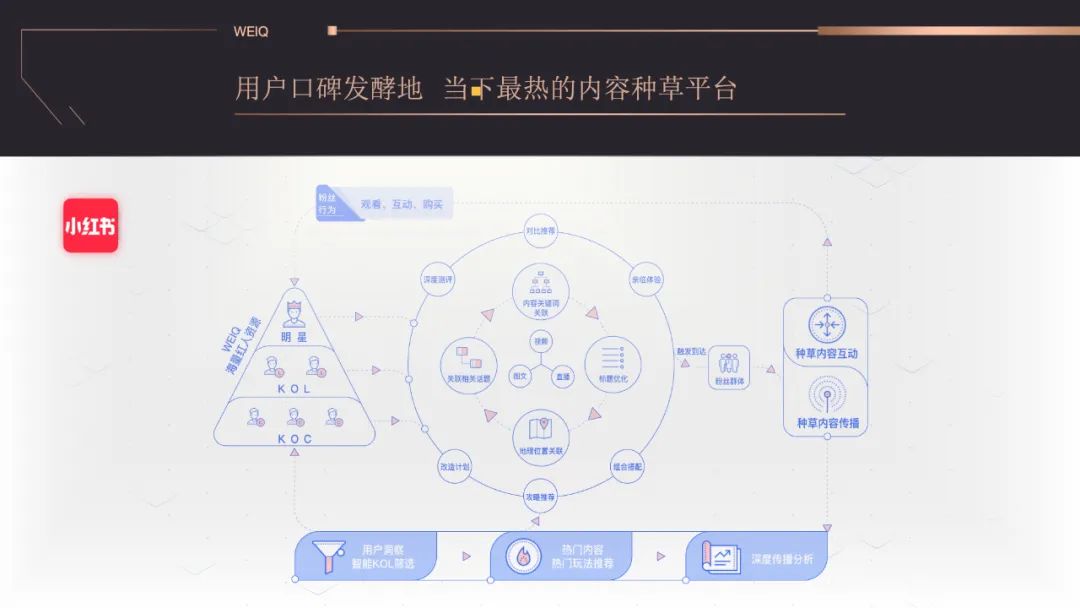 网红，成为营销主战场