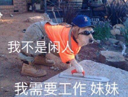 研究了200多句打工人段子，总结出这12个文案技巧