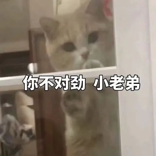 移动5G宣传片，快到翻车！