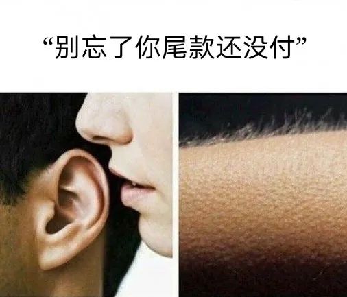 爆笑双十一段子文案，第一波来了！