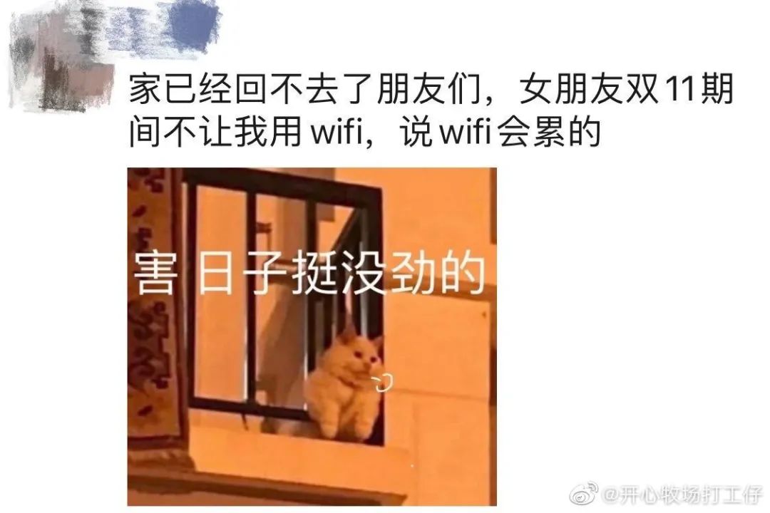爆笑双十一段子文案，第一波来了！
