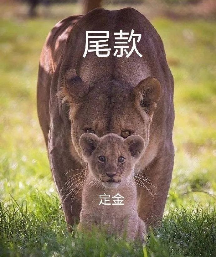 爆笑双十一段子文案，第一波来了！