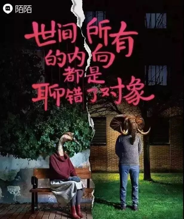 好文案，会Social！