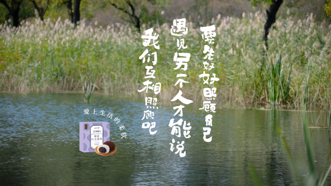 柔软的五芳斋