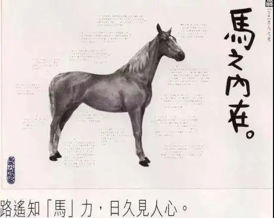 万字干货｜4A二十年衰落史，揭示创意核心竞争力 （下）