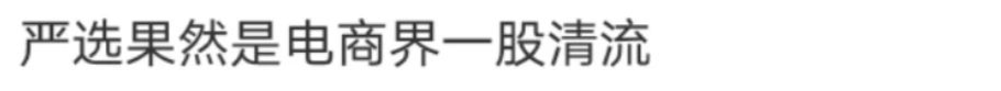 网易严选，退出双11了？