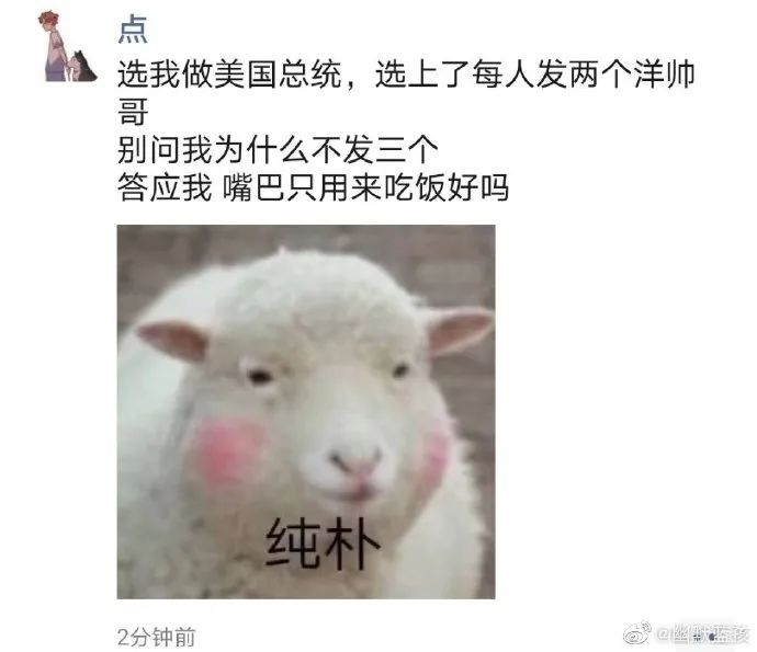 美国大选，竟炸出一波段子鬼才！