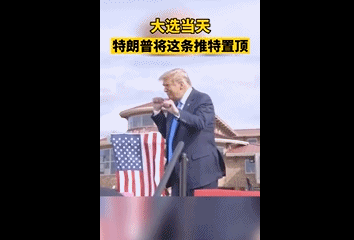 美国大选，竟炸出一波段子鬼才！