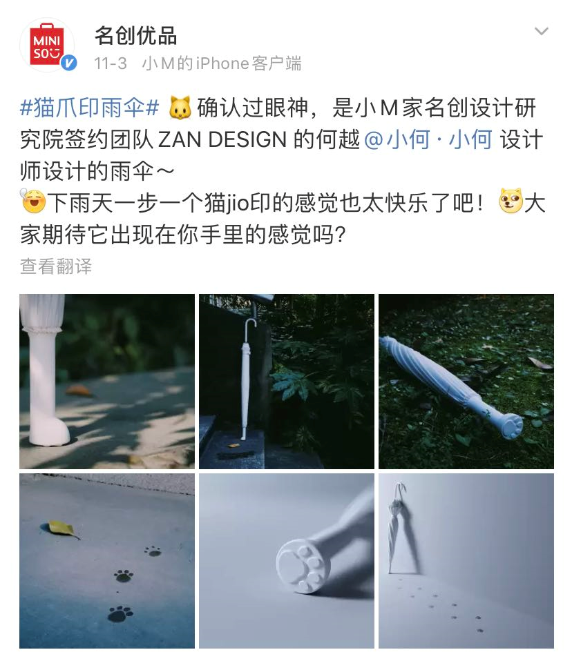 千万别让设计师养猫！