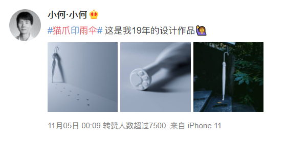 千万别让设计师养猫！