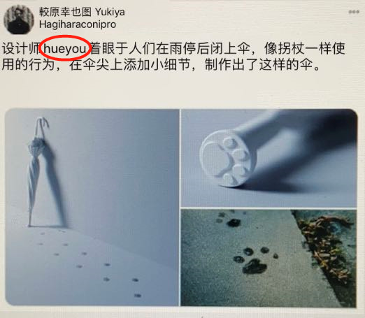 千万别让设计师养猫！