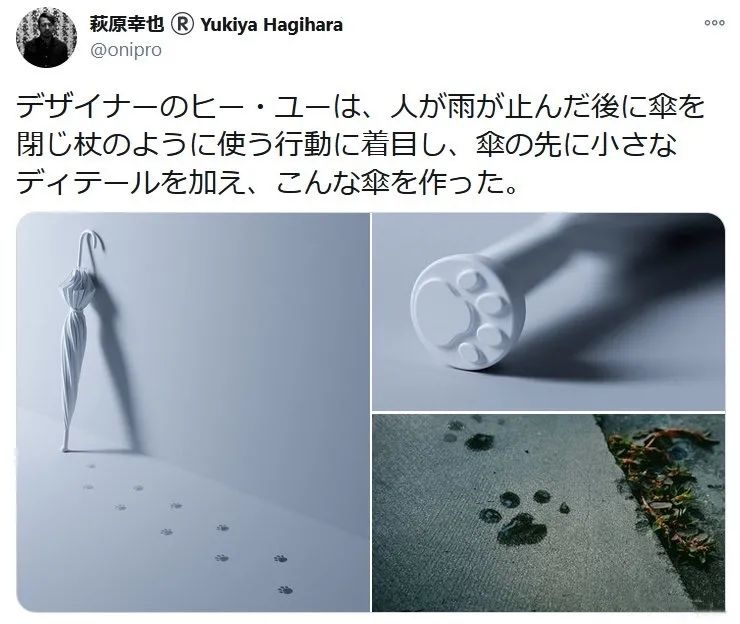 千万别让设计师养猫！