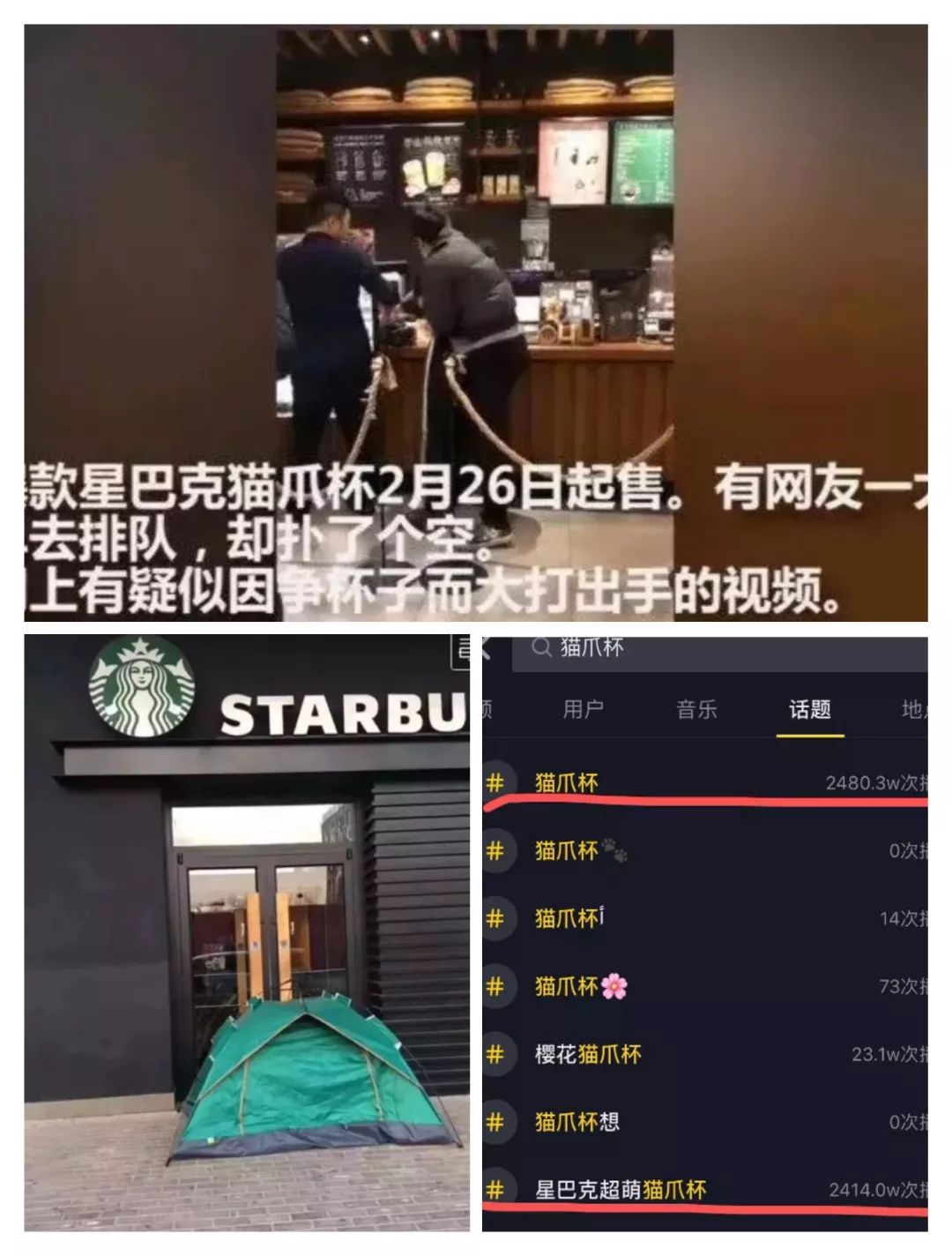 千万别让设计师养猫！