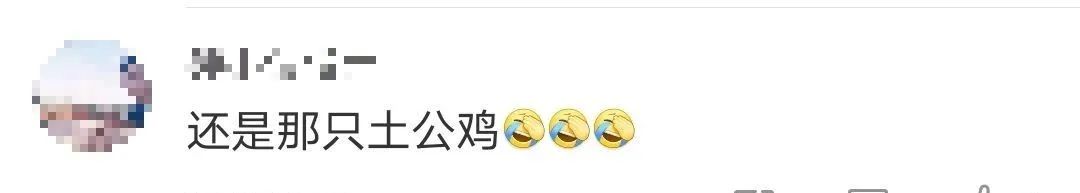 金鸡奖主视觉海报出炉，网友：好大一只鸡