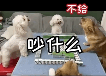 网友喊着发S卡，千万粉博主柯铭是如何将宠物创作流量变现的？