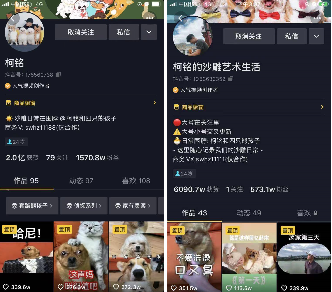 网友喊着发S卡，千万粉博主柯铭是如何将宠物创作流量变现的？
