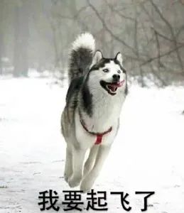 广告投放，如何提高有效曝光？
